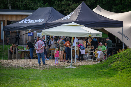Festival Staneta Jarma-74